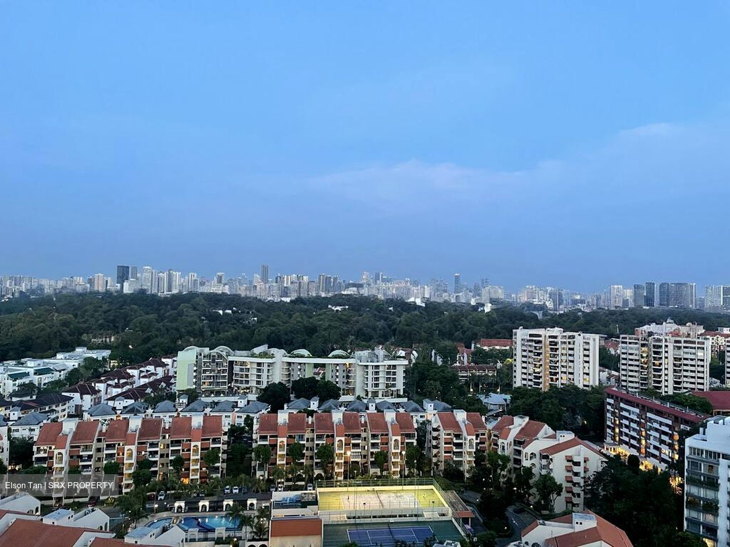 D'Leedon (D10), Condominium #502935271